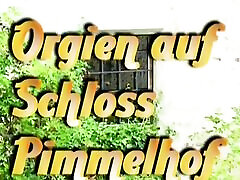 ऑर्गियन औफ श्लॉस पिमेलहोफ 1990 के दशक, जर्मन साउंड, पूर्ण डीवीडी