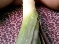 Orgasm thanks to the leek, 3d cartons hd and long!! EXTREME INSERTION