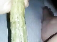 la mia figa ama cetriolo