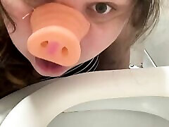 Pig banjlanaket moves toilet licking humiliation