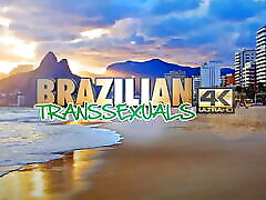 BRAZILIAN TRANSEXUALS: Sexy and Delicious new chaina video xxxx Farias