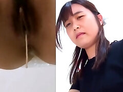 Asian Toilet 拾い物(教えて)