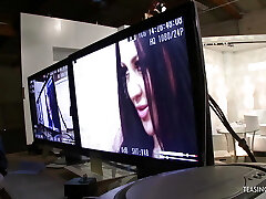 Wild brunette chick gets her pussy smashed after the photoshoot