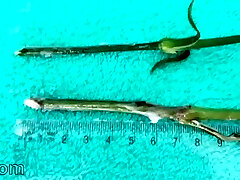 Extreme dame inserting nettles into cervix and rod flowers