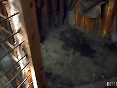 The Beast From The Woods