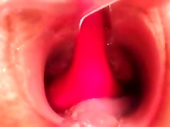 Pregnant Pussy - The Inside Look