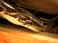 Erotic Seduction Is Mesmrizing