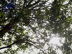 ریکو کاناد-مراقبت از من و به من کمک کند با من ارتباط جنسی اد. تکلیف