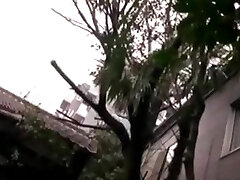 Rei kitajima abstinence care