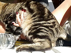 nippleringlover &ndash; horny milf is naked outdoors, fucking bottle, pierced pussy, big nipple rings in extremely pierced nipp