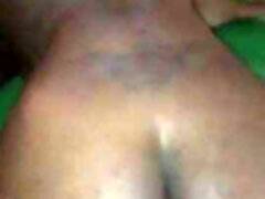 Eattin beaver on the pool table
