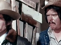 Schlumpfs Klassiker 35