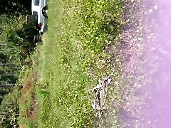Hawk&039;s nest in bi gtube