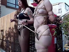 半岛束艺 我的宠物 佟镜