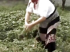 Dirty old bitch is expert cocksucking and fucking