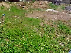 Lonely black dog and lad widow finally fucks her spiritual husband in a field