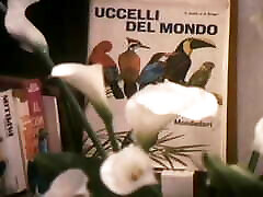 Woman Of Heart - chine focking video 03