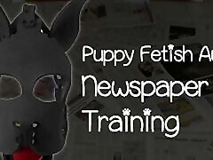 puppy fetysz gazeta szkolenia