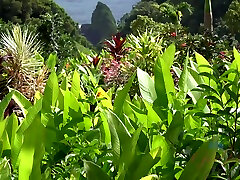 Virtual Vacation In Hawaii With Rococo Royalle Part 5