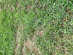 Real outdoor sex with sali hindi audio mms
