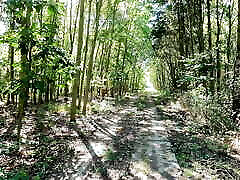 Labia slapping with hairbrush in the woods