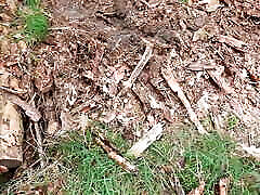Pants down pussy slapping in the middle of the hiking way