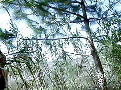 Anal in the woods with Mademoiselle Justine during an episode of Culanta