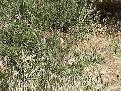French amateur milf is SHOCKED!!! She caught a real perverted voyeur following her