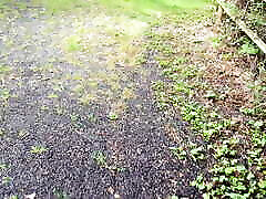 Hard Titslapping near the pond