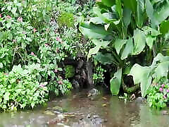 Singing tango Gricel and Nature