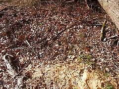 open nature and hard titslapping