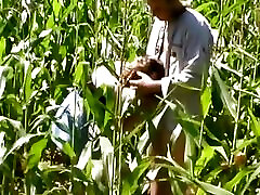 Threesome in the cornfield