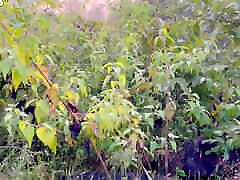 Indian desi girlfriend having sex in jungle