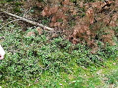 Completely sxxe viedou through the woods while slapping her breasts
