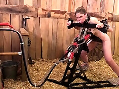 Hucows Alice Maze – Red Cow Milker Songs