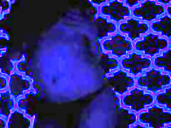 Blacklight Testing