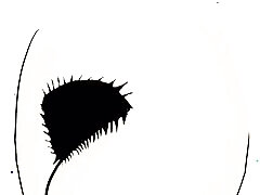 An animation of a brunette, fiery crotch