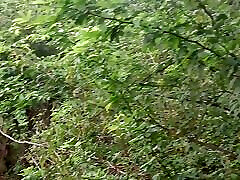 Farm Blowjob outdoor blowjob viral blowjob