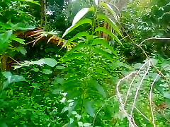 Jungle mother pov son bj Sex Hot Village Desi Girl