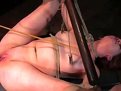 cum on joyce ilg tribute Of Service Attack: Lilla Katt Not Allowed To Orgasm - Kink