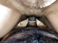 Fucked mare&039;s pussy by fucking thick cock