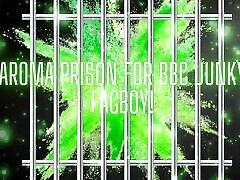 prison aromatique pour un pédé junky de la bbc!