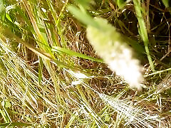 Beautiful sister-in-law cut fodder in the wheat field, brother-in-law fucked big fat ass in sister-in-law&039;s mouth in the open forest