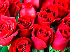 Bangla choto golpo Bangla choti golpo full iwank wap net in Bangla audio story