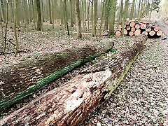 Naked breasts punished on the forest path