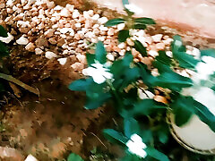 Great Romantic scene 6