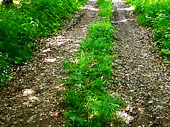 used her breasts in the woods