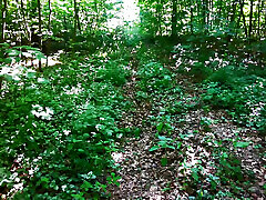 Tits banging in the woods