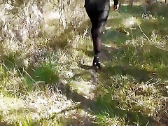 High Heels and Walking in the Woods