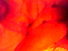 Girl plays with herself while dick in her ass